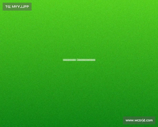 以点射加助攻领衔全场 B费荣膺曼联球迷票选最佳球员